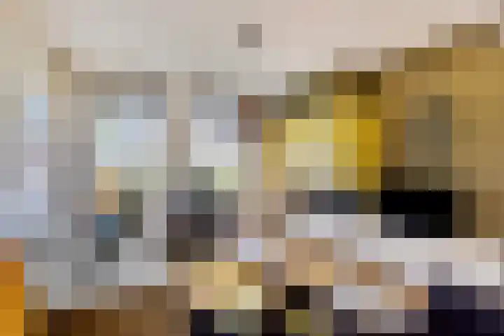 Stappenhoeve 5 Helmond thumbnail 21