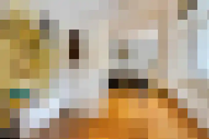 Stappenhoeve 5 Helmond thumbnail 26