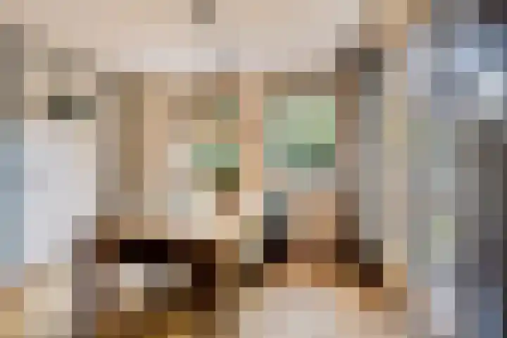 Stappenhoeve 5 Helmond thumbnail 31