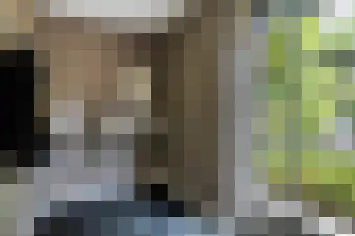 Stappenhoeve 5 Helmond thumbnail 35