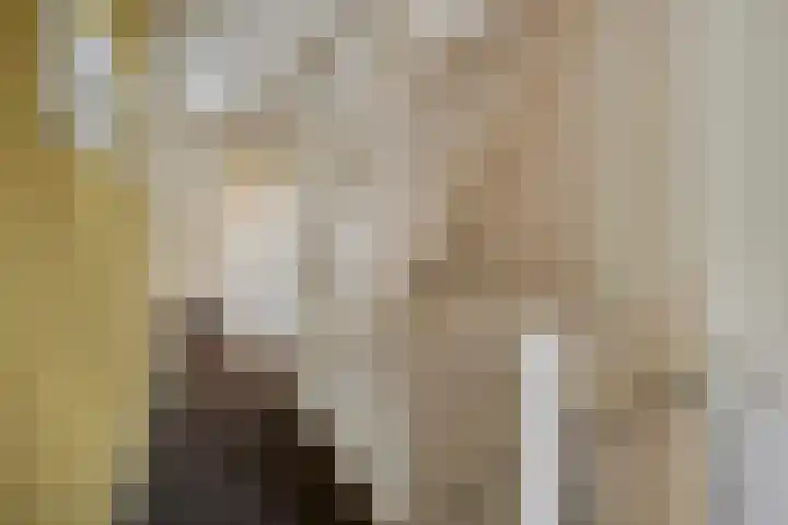 Stappenhoeve 5 Helmond thumbnail 37