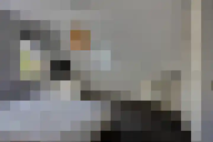 Stappenhoeve 5 Helmond thumbnail 41