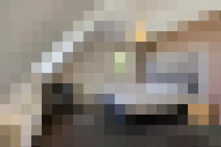 Stappenhoeve 5 Helmond thumbnail 44