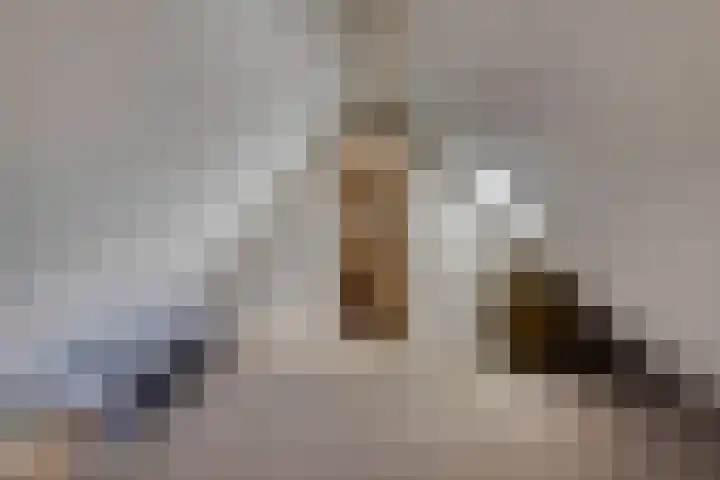 Stappenhoeve 5 Helmond thumbnail 59