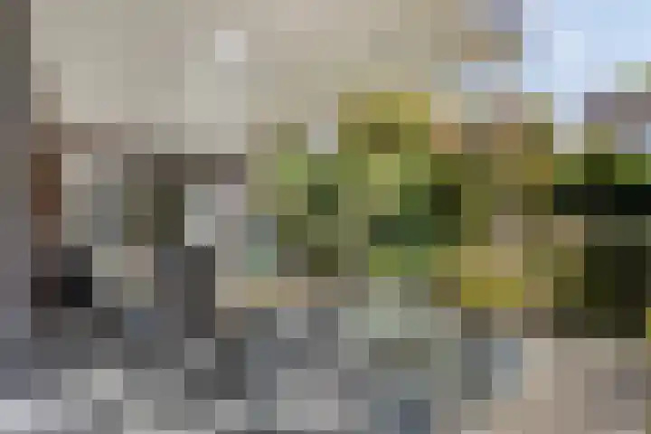 Stappenhoeve 5 Helmond thumbnail 61