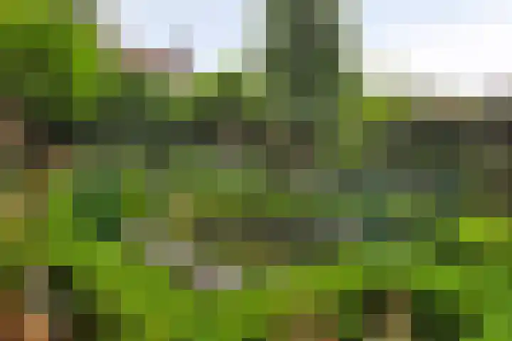 Stappenhoeve 5 Helmond thumbnail 64