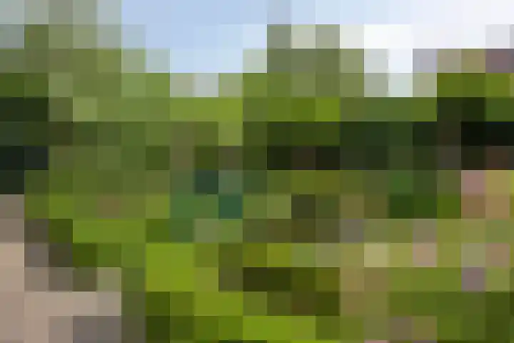 Stappenhoeve 5 Helmond thumbnail 65