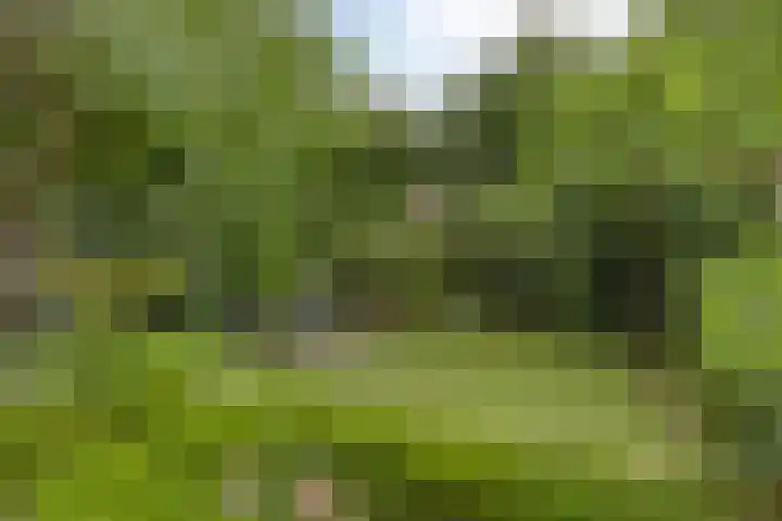 Stappenhoeve 5 Helmond thumbnail 67