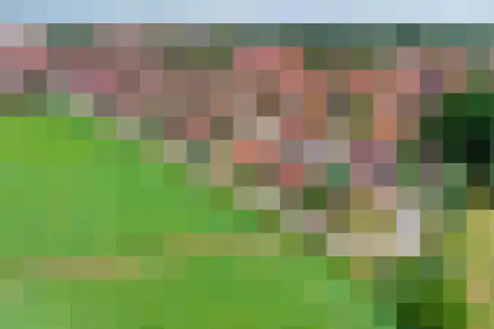 Stappenhoeve 5 Helmond thumbnail 69