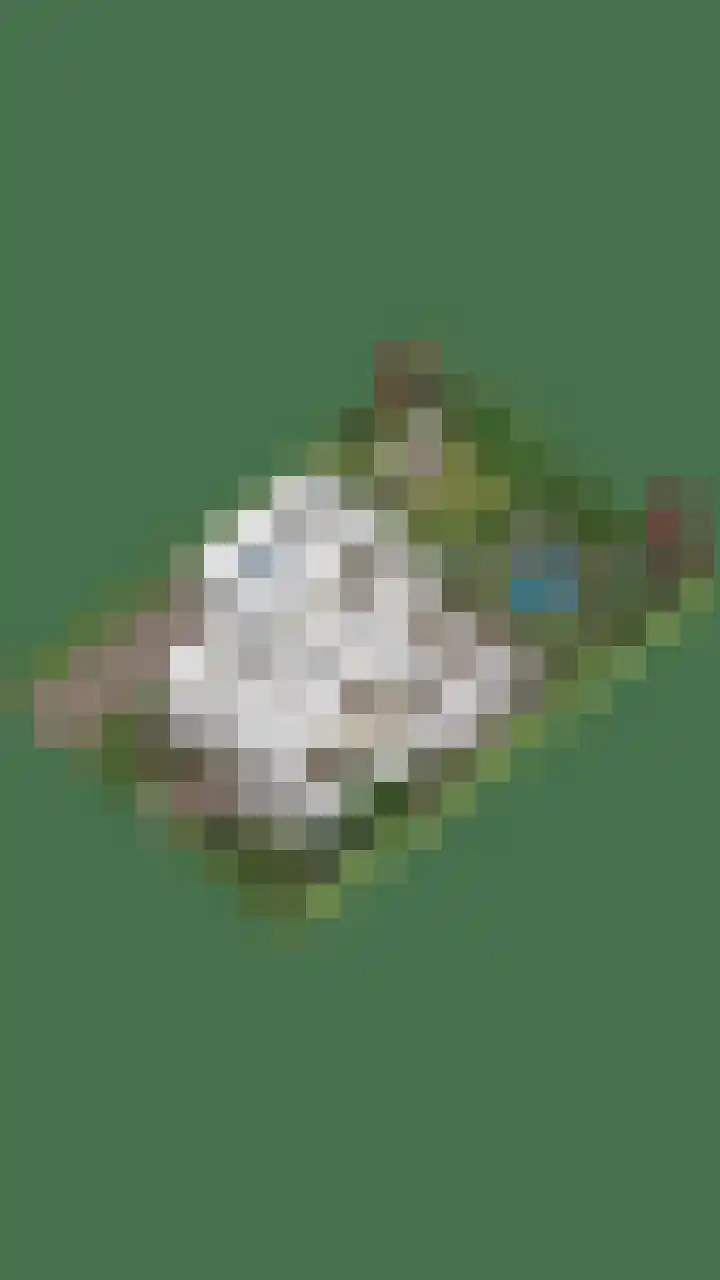 Stappenhoeve 5 Helmond thumbnail 82