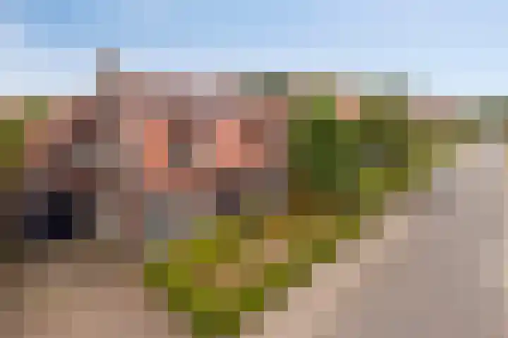 Stappenhoeve 5 Helmond thumbnail 9