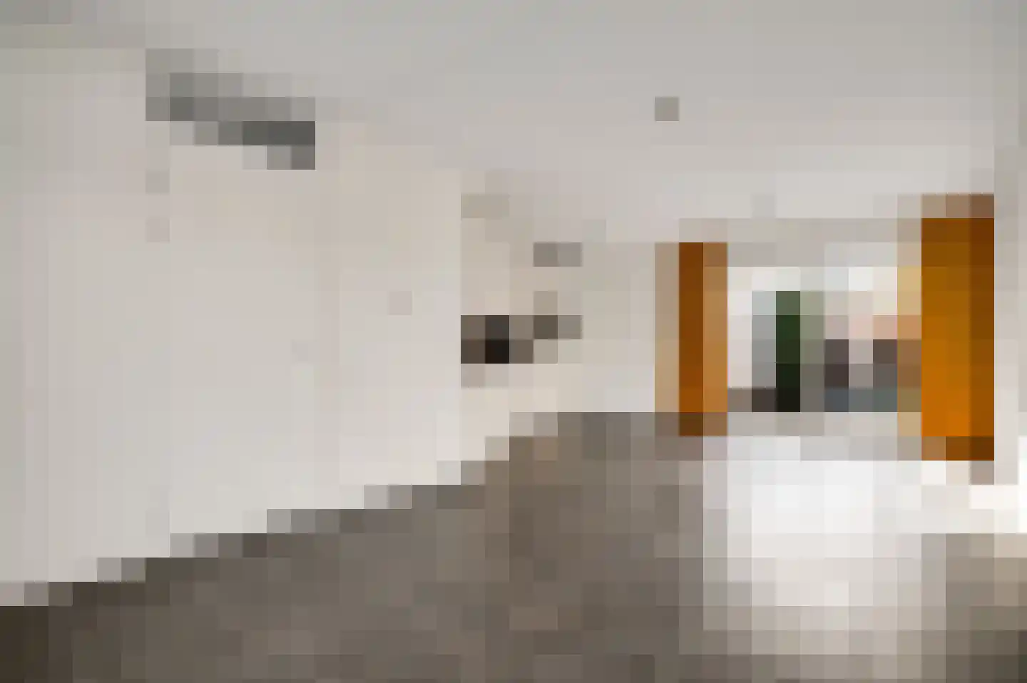 Stappersmolen 7 Horst thumbnail 14