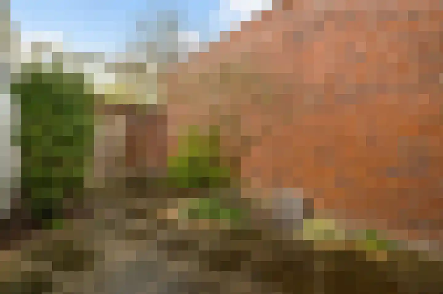 Stappersmolen 7 Horst thumbnail 33