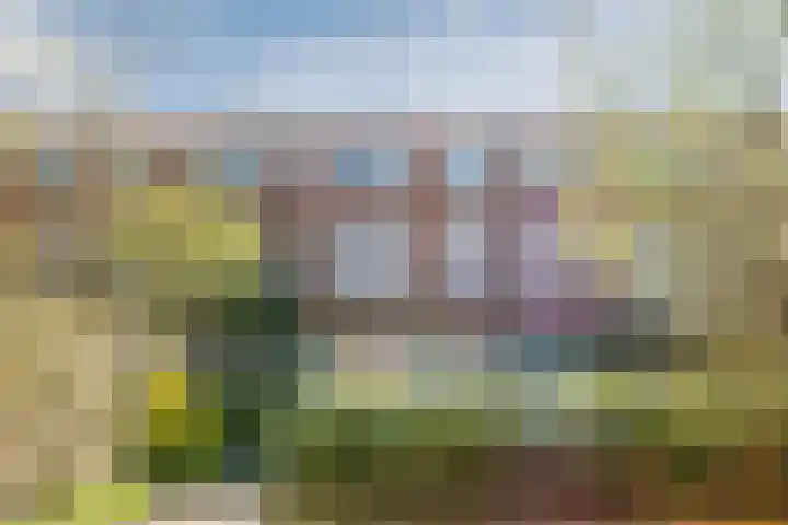 Star Numanstraat 10 Groningen thumbnail 38