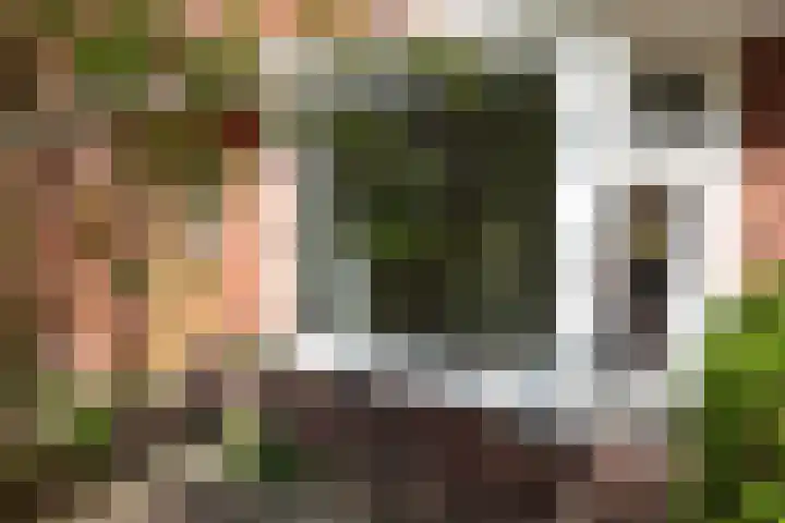 Star Numanstraat 10 Groningen thumbnail 5