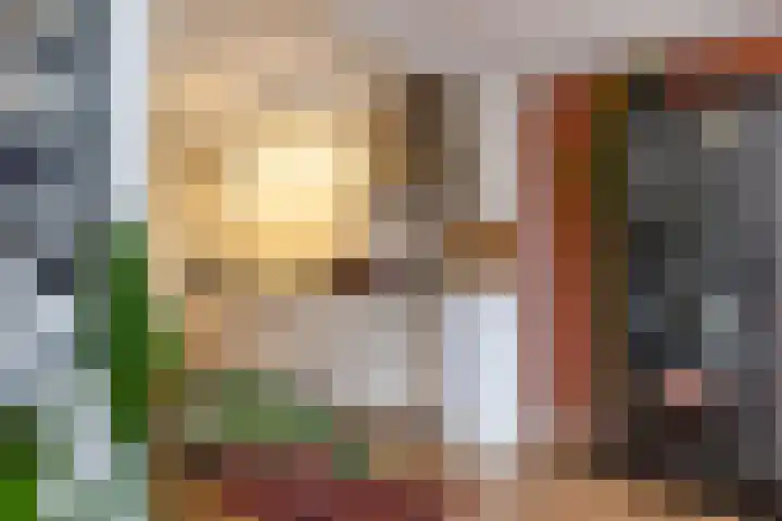 Star Numanstraat 20 Groningen thumbnail 17
