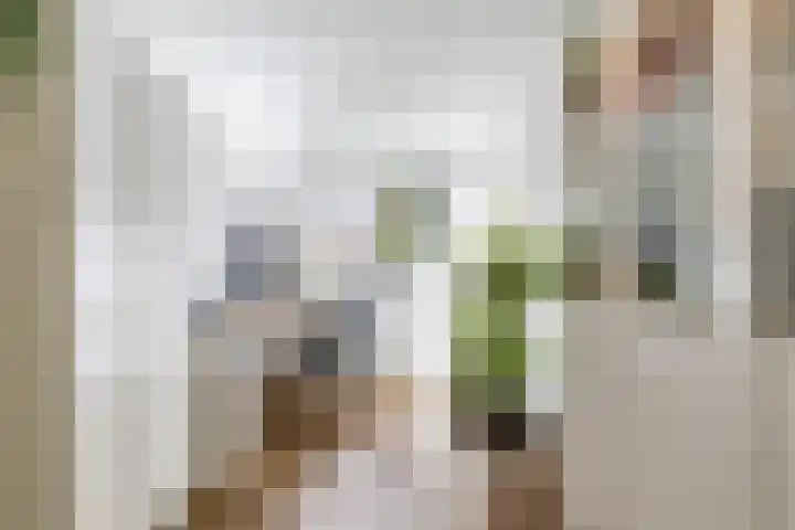Star Numanstraat 20 Groningen thumbnail 19