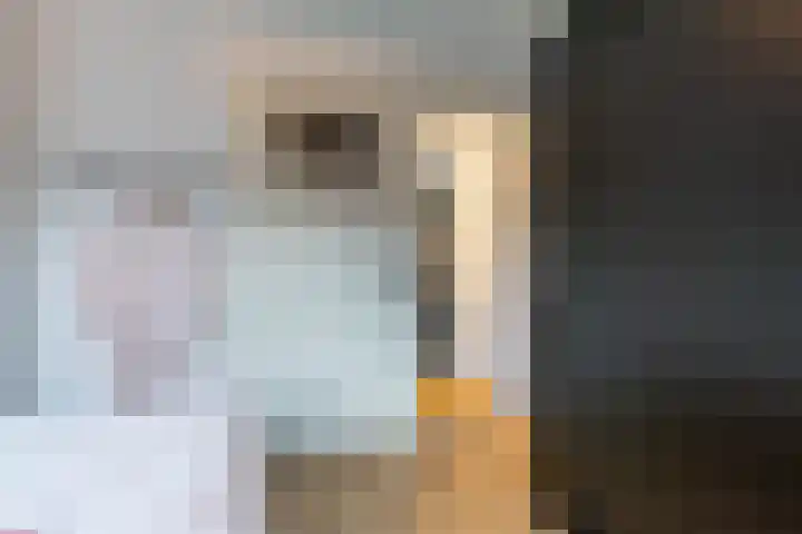 Star Numanstraat 20 Groningen thumbnail 28