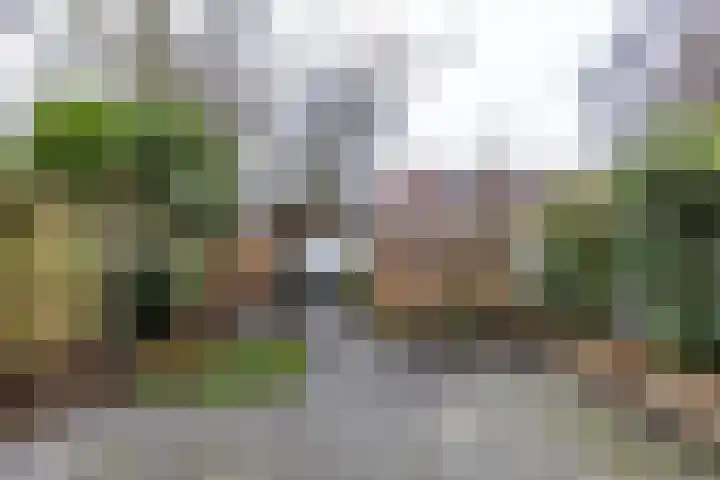 Star Numanstraat 20 Groningen thumbnail 31
