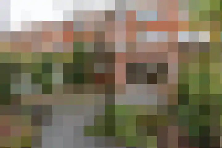 Star Numanstraat 20 Groningen thumbnail 33