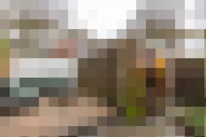 Star Numanstraat 20 Groningen thumbnail 34
