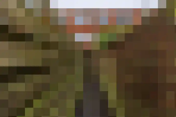 Star Numanstraat 20 Groningen thumbnail 38