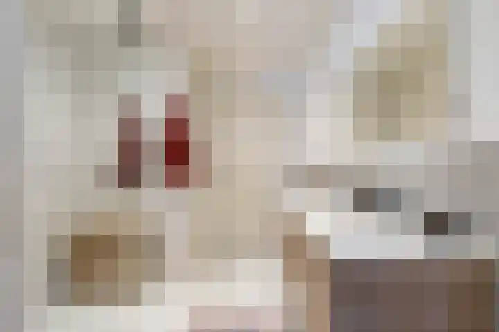 Star Numanstraat 20 Groningen thumbnail 4