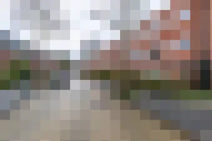 Star Numanstraat 20 Groningen thumbnail 41