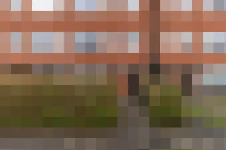 Star Numanstraat 20 Groningen thumbnail 5