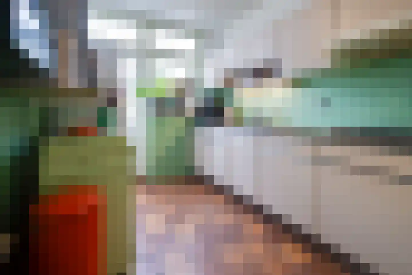 Star Numanstraat 28 a Groningen thumbnail 13