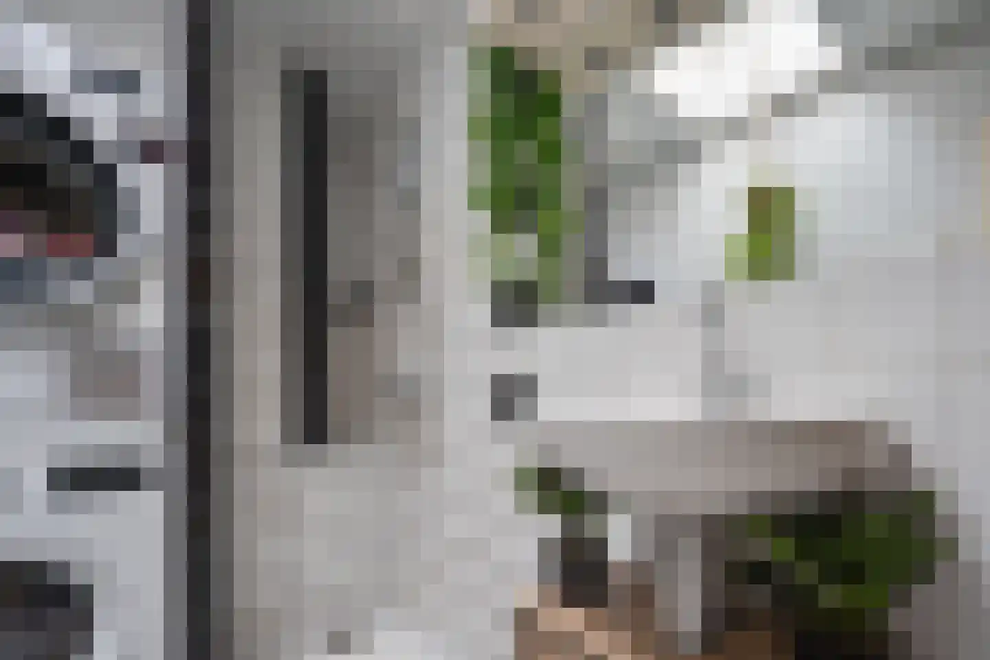 Star Numanstraat 28 a Groningen thumbnail 32