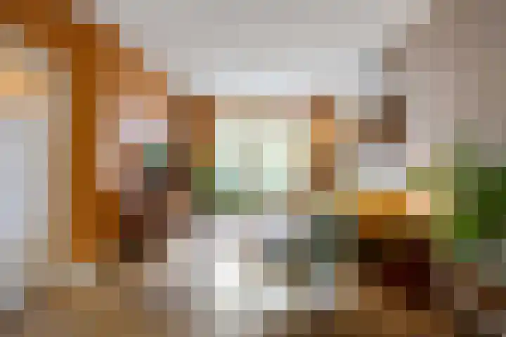 Star Numanstraat 38 Groningen thumbnail 17
