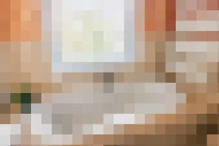 Star Numanstraat 38 Groningen thumbnail 34