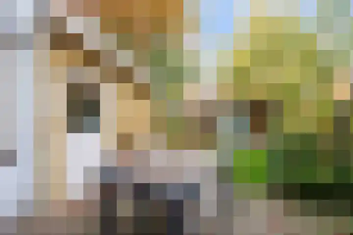 Star Numanstraat 38 Groningen thumbnail 4