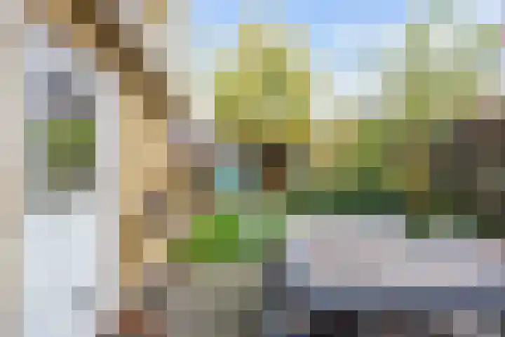Star Numanstraat 38 Groningen thumbnail 46