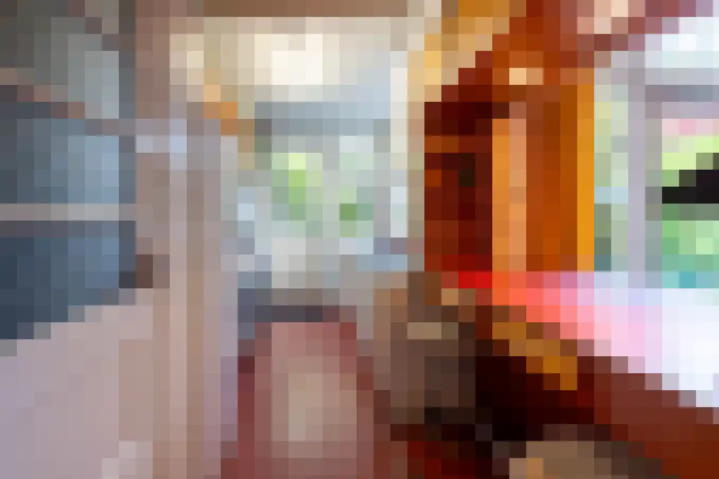 Star Numanstraat 47 Groningen thumbnail 22