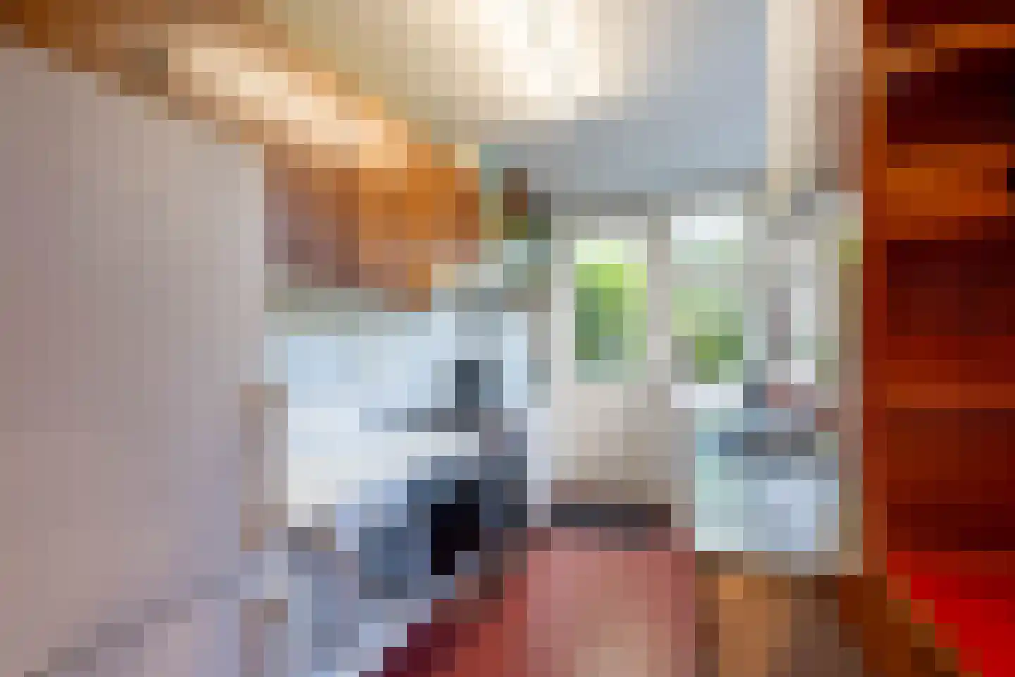 Star Numanstraat 47 Groningen thumbnail 24