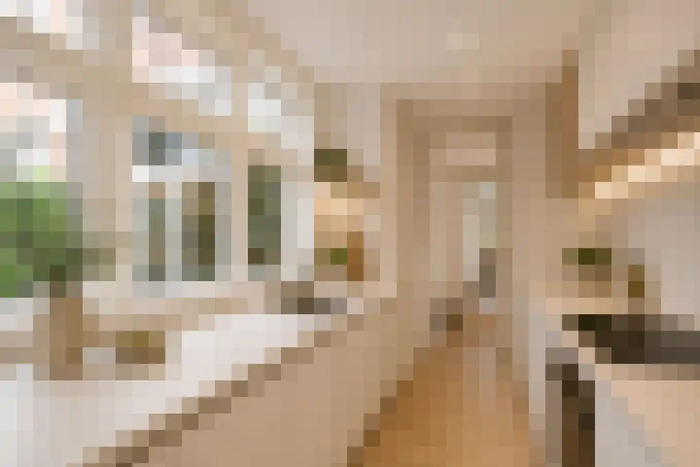 Star Numanstraat 47 Groningen thumbnail 26