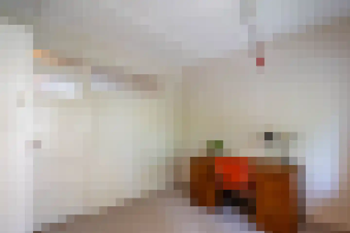 Star Numanstraat 47 Groningen thumbnail 33