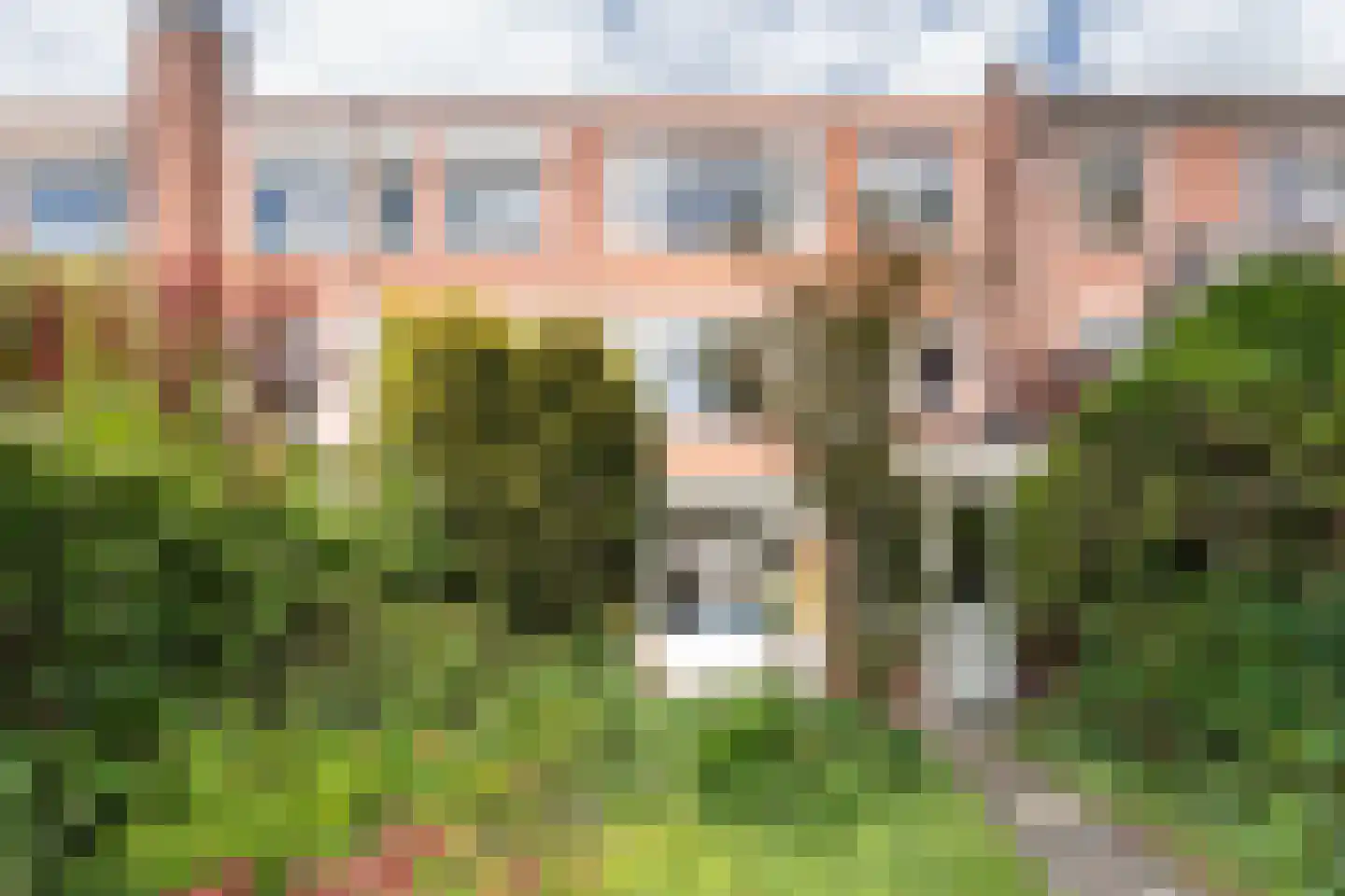 Star Numanstraat 47 Groningen thumbnail 46