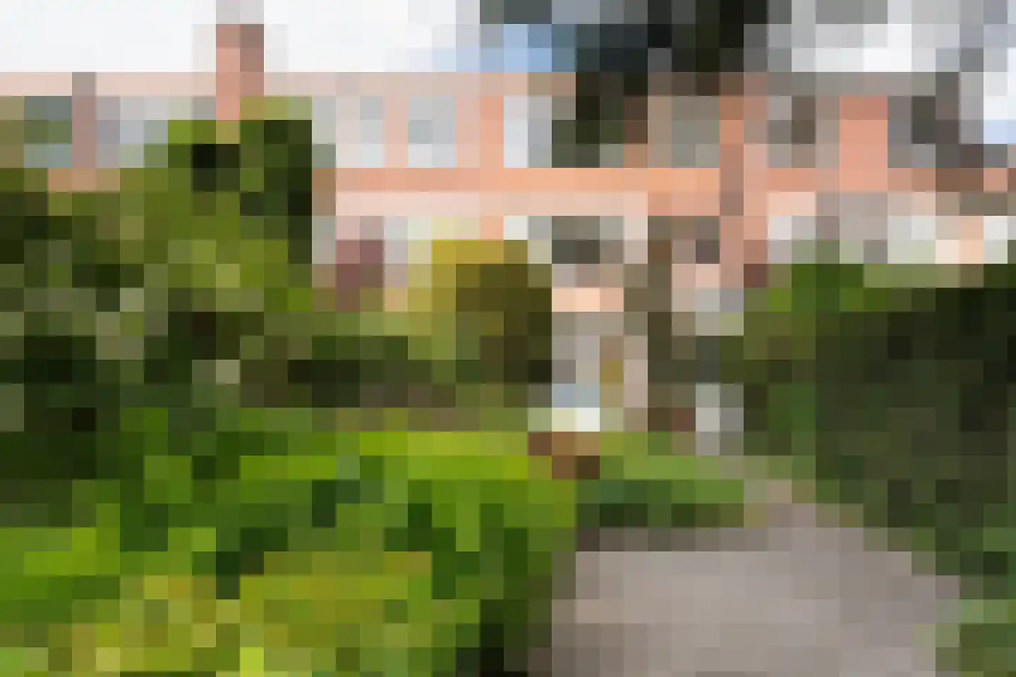 Star Numanstraat 47 Groningen thumbnail 47