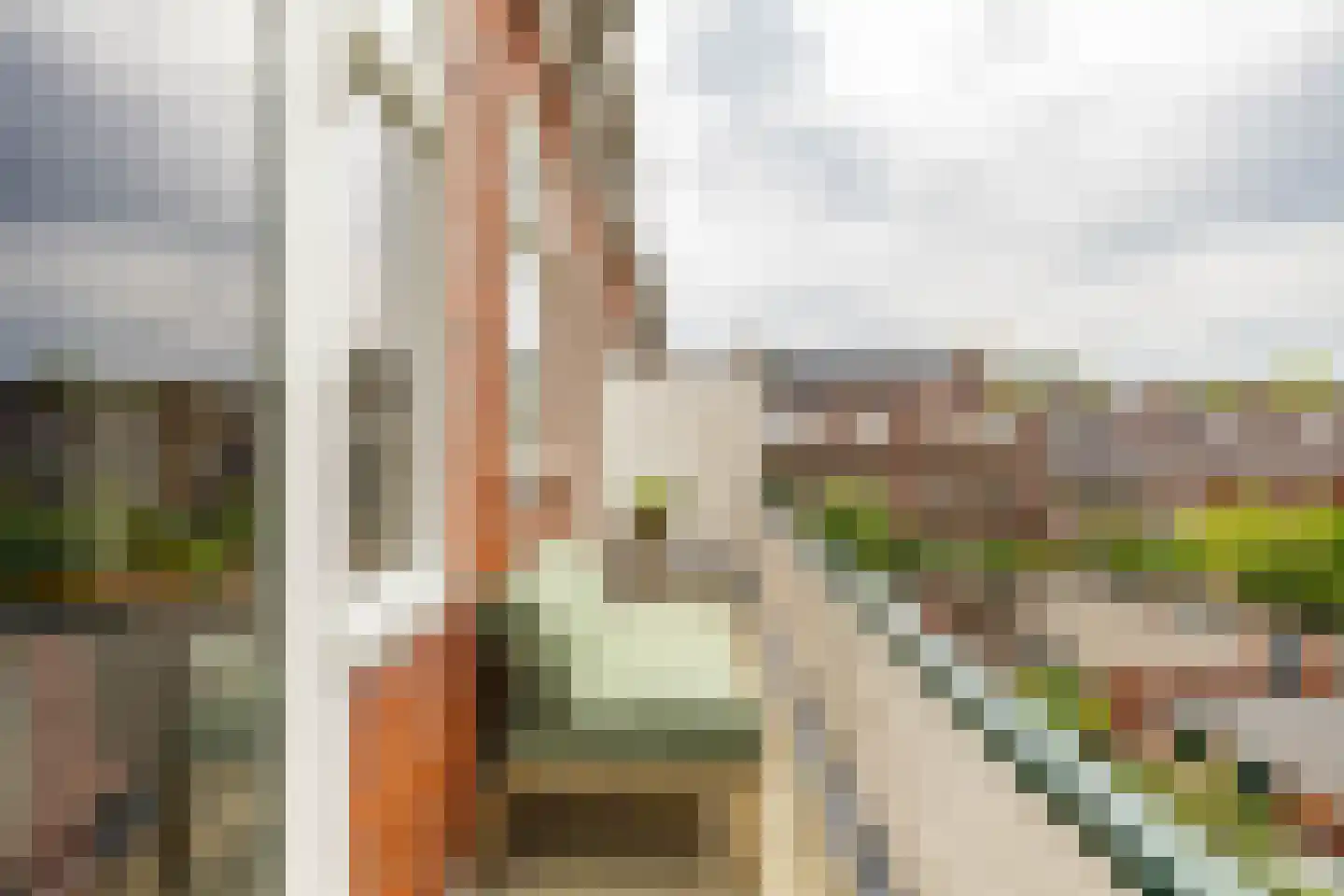 Star Numanstraat 48 b Groningen thumbnail 16
