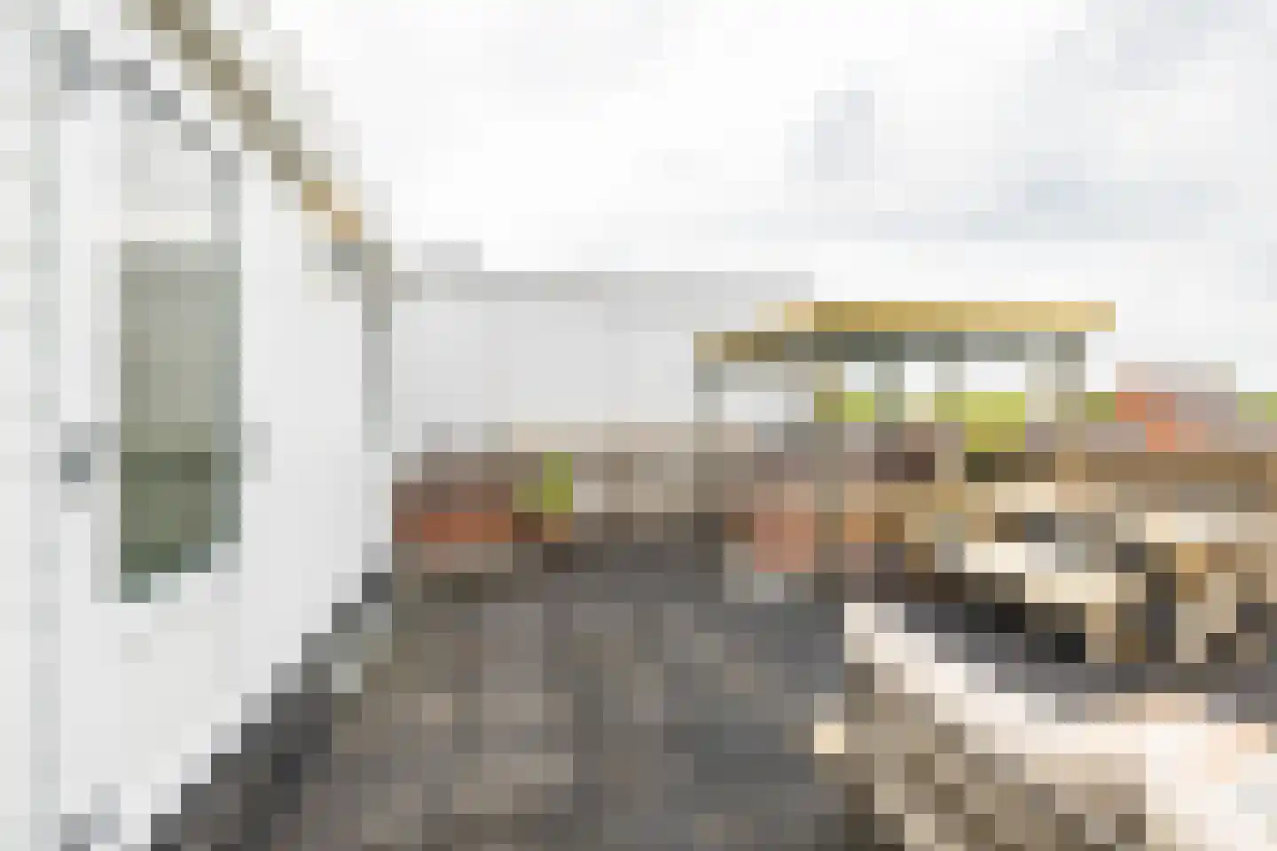 Star Numanstraat 48 b Groningen thumbnail 33