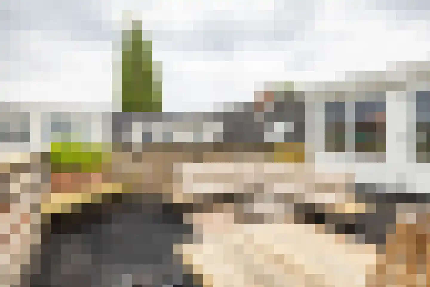 Star Numanstraat 48 b Groningen thumbnail 34