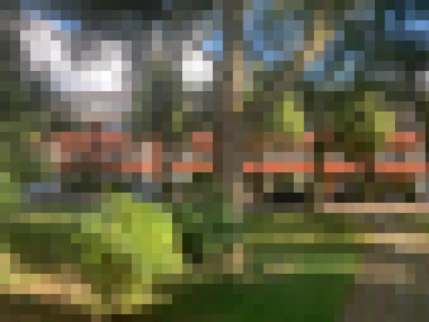 Star Numanstraat 50 Groningen thumbnail 41