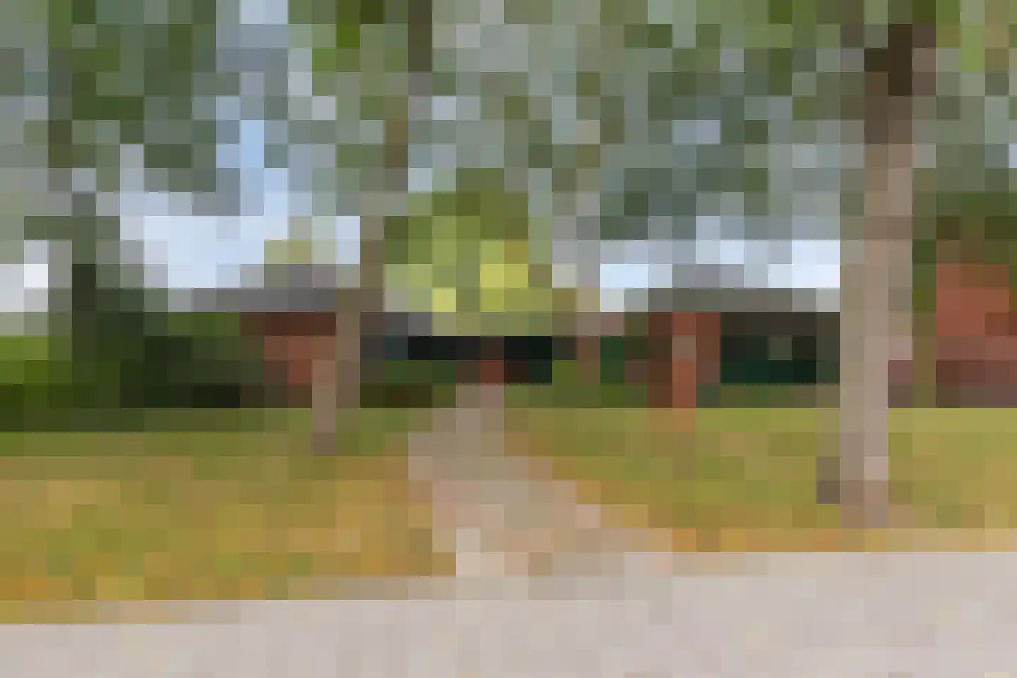 Star Numanstraat 50 Groningen thumbnail 5
