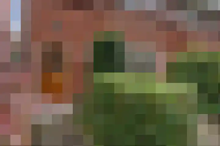 Star Numanstraat 63 Groningen thumbnail 10