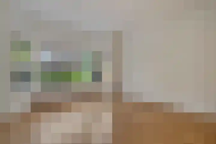 Star Numanstraat 63 Groningen thumbnail 14