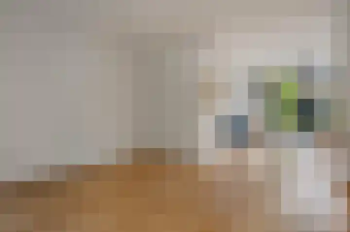 Star Numanstraat 63 Groningen thumbnail 17