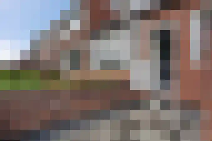 Star Numanstraat 63 Groningen thumbnail 33